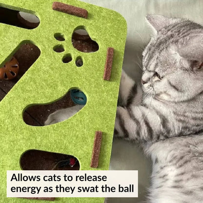 PurrSanctuary™ Cat Puzzle Maze
