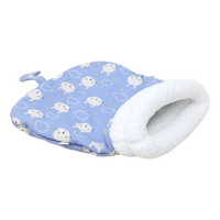 Blue Bunny