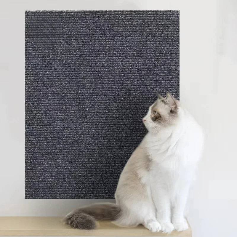 PurrSanctuary™ ClawGuard Shield